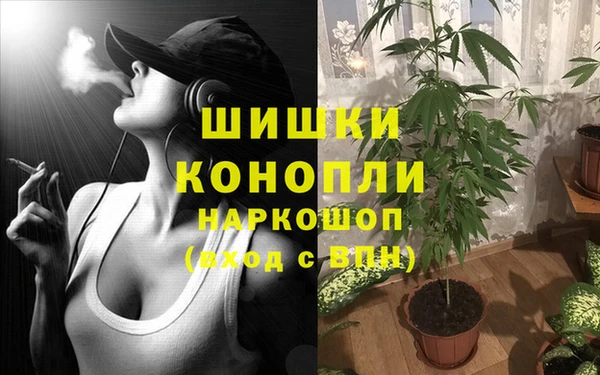 гашик Алзамай