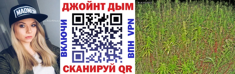 купить   Черепаново  Шишки марихуана THC 21% 